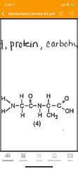 biochemistry test quizlet